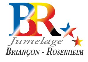 logo_jumelage_rosenheim.jpg